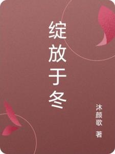 绽放 全文