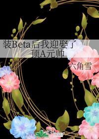 装Beta后我迎娶了顶A元帅在哪儿看