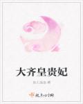 大齐皇朝