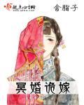 冥婚诡嫁叶瓷苏兮寒