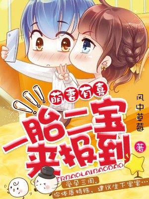 一胎二宝是什么意思