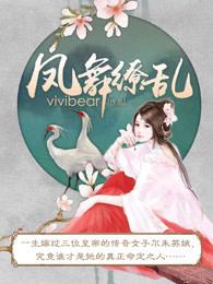 凤舞啥意思